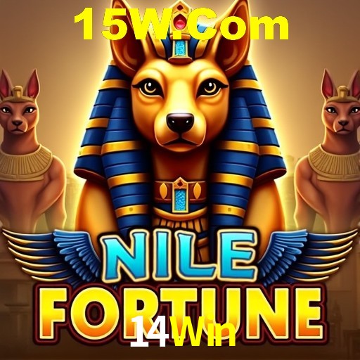 Interface Premium 14Win