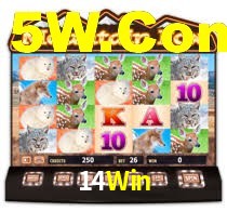 14Win Bet App